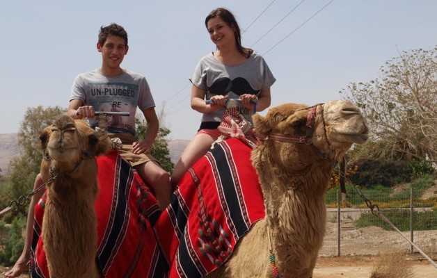 Op de kameel
